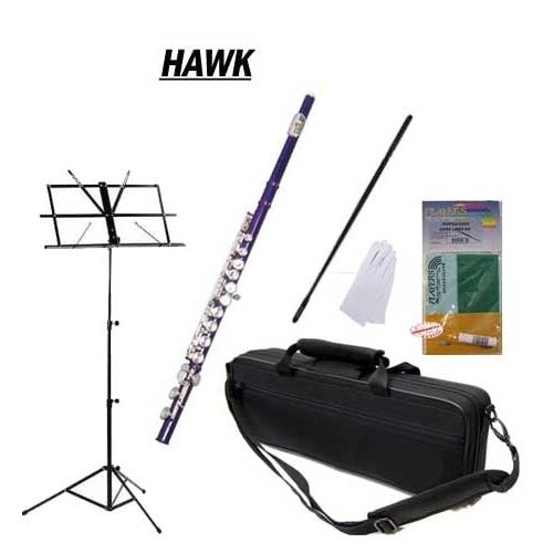  Hawk Purple Closed Hole C Flute School Package with Case, Music Stand, and Cleaning Kit