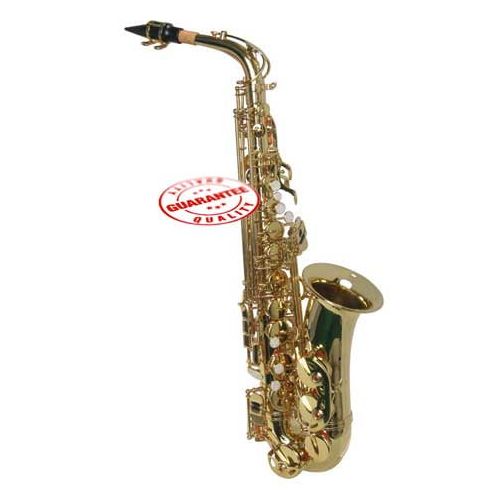  Hawk Student Gold Lacquered Alto Saxophone with Case, Mouthpiece and Reed