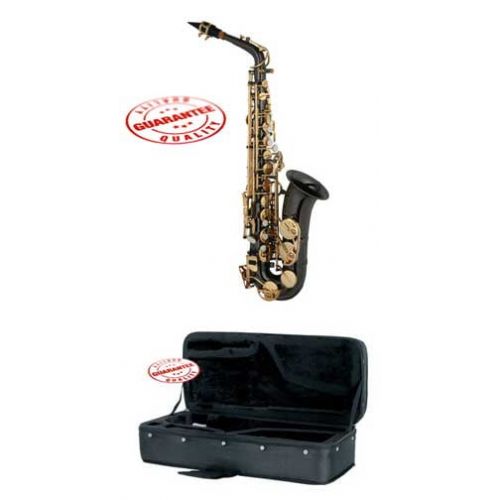  Hawk Colored Student Black Alto Saxophone with Case, Mouthpiece and Reed