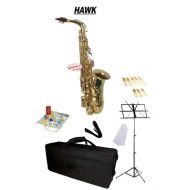 Hawk Gold Alto Saxophone School Package with Case, Reeds, Music Stand and Cleaning Kit