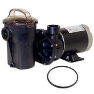 In The Swim Hayward SP1580X15 Power-Flo LX Series 1-1/2 HP Above-Ground Pool Pump Bundle