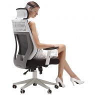 Hbada Ergonomic Office Chair - High Back Adjustable Desk Chair - Mesh Swivel Computer Chair with Headrest and Lumbar Support