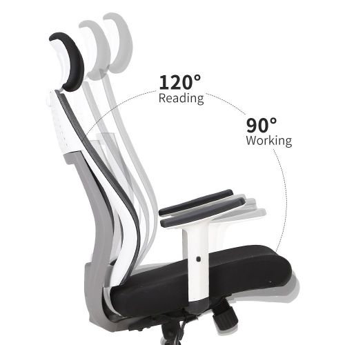  Hbada Ergonomic Office Chair - High Back Adjustable Desk Chair - Mesh Swivel Computer Chair with Headrest and Lumbar Support