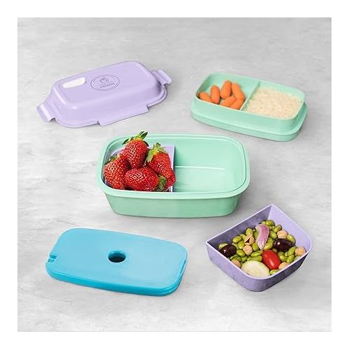  Ultimate Bento Box - Lunch Box for Kids & Adults with Removable Ice Pack - Leakproof, Multi-Compartment Food Container with Removable Containers - Microwave & Dishwasher Safe(Purple, Green, Purple)