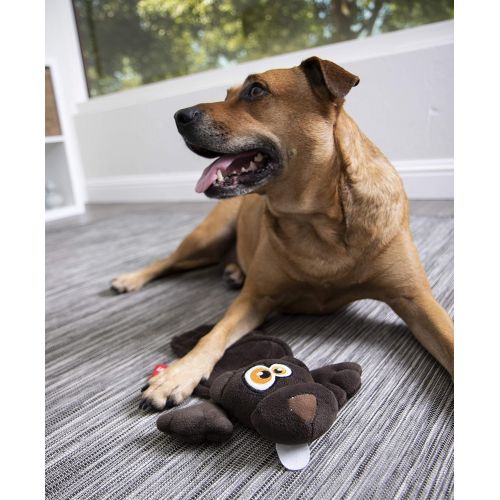  Hear Doggy! Flattie Ultrasonic Sqeaker Dog Toys