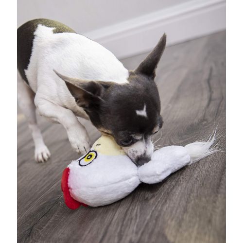  Hear Doggy! Flattie with Chew Guard Technology Ultrasonic Squeaker Dog Toys