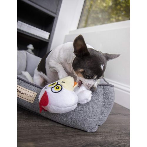  Hear Doggy! Flattie with Chew Guard Technology Ultrasonic Squeaker Dog Toys