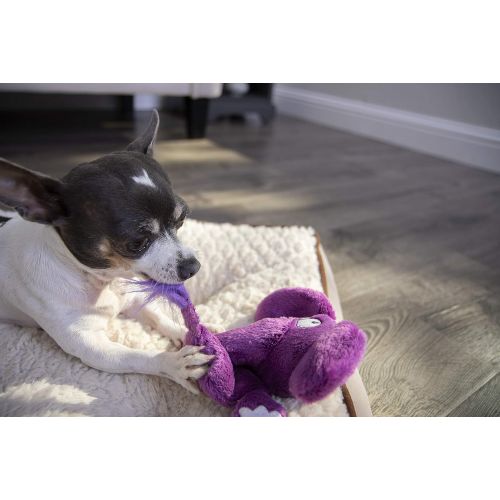  Hear Doggy! Flattie with Chew Guard Technology Ultrasonic Squeaker Dog Toys