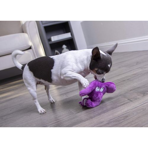  Hear Doggy! Flattie with Chew Guard Technology Ultrasonic Squeaker Dog Toys