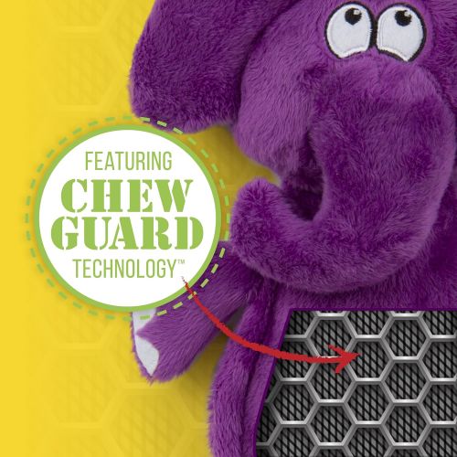  Hear Doggy! Flattie with Chew Guard Technology Ultrasonic Squeaker Dog Toys