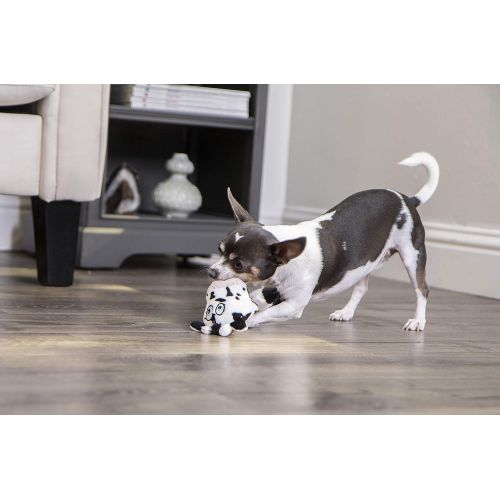  Hear Doggy! Flattie with Chew Guard Technology Ultrasonic Squeaker Dog Toys