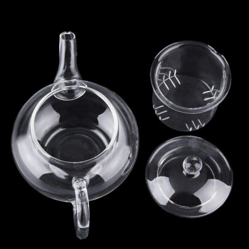  Heaviesk Transparente Teekanne Hitzebestandige Glasteekanne mit Infuser Kaffee Blume Tee Blatt Krautertopf 250ml Langlebig