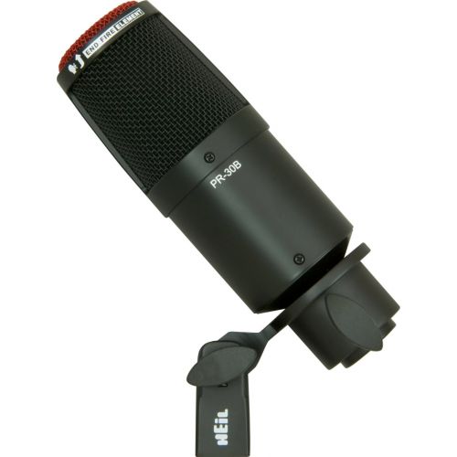  HeiL Heil Sound PR 30B Large-Diaphragm Dynamic Microphone