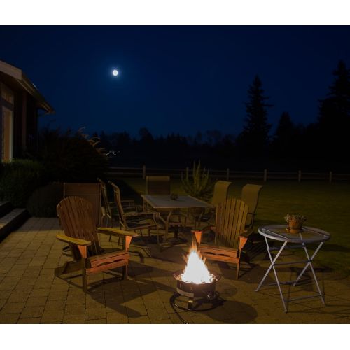  Heininger 5995 58,000 BTU Portable Propane Outdoor Fire Pit