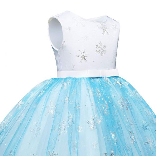  HenzWorld Elsa Anna Costume Dress Girls Princess Birthday Party Cosplay Accessories