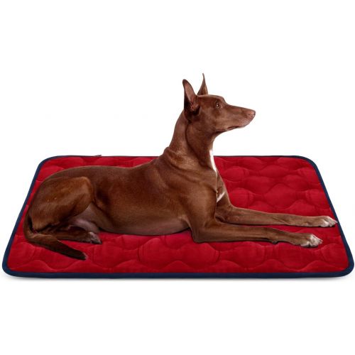  [아마존 핫딜] [아마존핫딜]Hero Dog Dog Bed Mat Crate Pad Anti Slip Mattress Washable for Large Medium Small Pets Sleeping