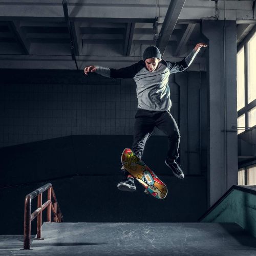  Hiboy Alpha Skateboard, Complete Skateboard 31 x 8, ABEC-11 Bearing, 95A High Rebound PU Cushion, Pro Skateboard for Kids Teens & Adults (Alpha#1)