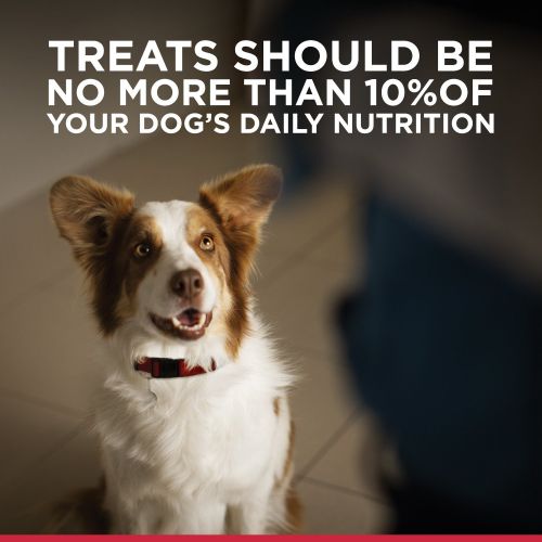  Hills Science Diet Dog Treats, Flexi-Stix Jerky Dog Snacks