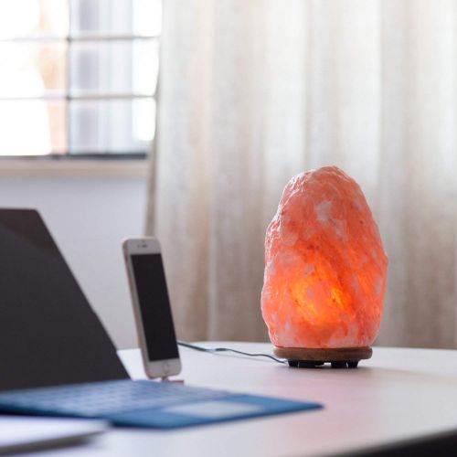  Himalayan Glow 1004 Hand Carved Natural Himalayan Salt lamp 15-20 lbs