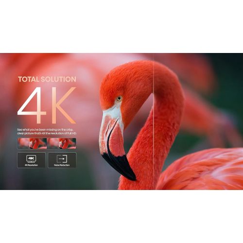 하이센스 Hisense A6 Series 65-Inch 4K UHD Smart Google TV with Voice Remote, Dolby Vision HDR, DTS Virtual X, Sports & Game Modes, Chromecast Built-in (65A6H, 2022 New Model)