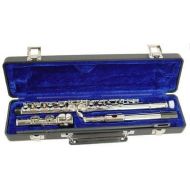 Hisonic Signature Series 2810N Closed 16-hole Flute