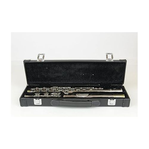  Hisonic Signature Series 2810N Closed 16-hole Flute