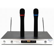 Hisonic Dual Wireless Microphone System, HS2300