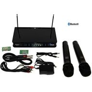 Hisonic HS236 Bluetooth VHF Handheld Wireless Microphone System Portable and Rechargeable Battery Installed,2 Handheld Microphone