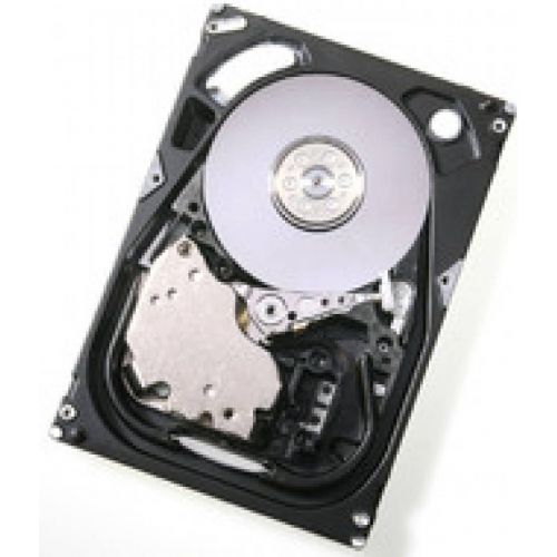  Hitachi HUS154530VLS300 300GB Hard Drive