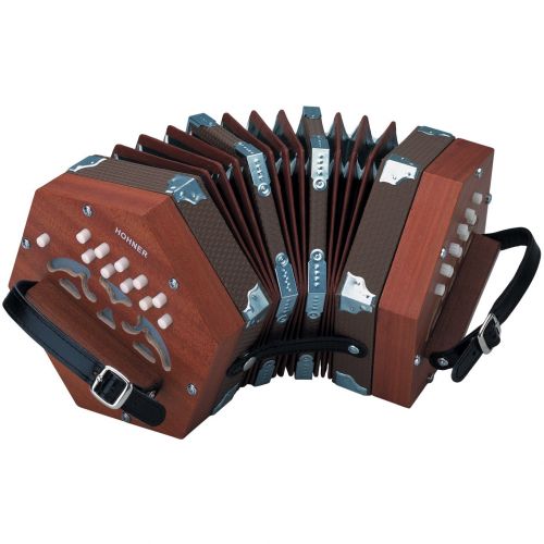  Hohner D40 Concertina Accordion