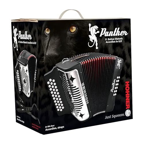  HOHNER Accordion, 12a€ x 7.5a€ (3100FB)