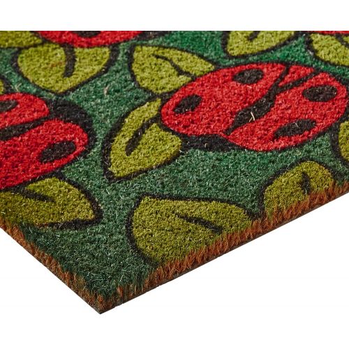  Home & More 12042 Ladybugs Doormat, 17 x 29 x 0.60, Multicolor