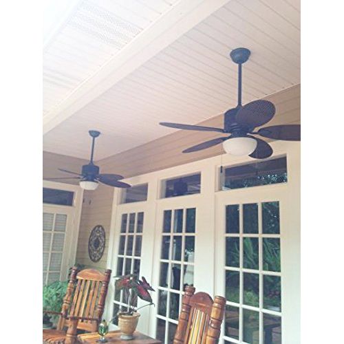  Home Decorators Collection Home Decorators IndoorOutdoor Tahiti Breeze 52-Inch Ceiling Fan, Natural Iron