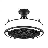 HomeDecoratorsCollection Anderson 22 in. IndoorOutdoor Black Ceiling Fan