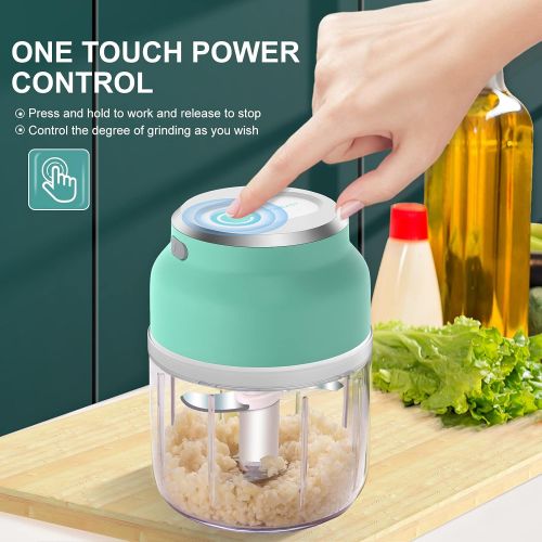  HOMEASY Mini Chopper, Electric Garlic Chopper, Small Garlic Chopper with USB Charging, Portable Onion Cutter in 230 ml & 300 ml for Vegetables, Garlic, Ginger & Onions