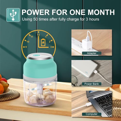  HOMEASY Mini Chopper, Electric Garlic Chopper, Small Garlic Chopper with USB Charging, Portable Onion Cutter in 230 ml & 300 ml for Vegetables, Garlic, Ginger & Onions