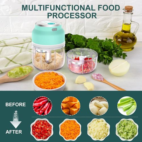  HOMEASY Mini Chopper, Electric Garlic Chopper, Small Garlic Chopper with USB Charging, Portable Onion Cutter in 230 ml & 300 ml for Vegetables, Garlic, Ginger & Onions