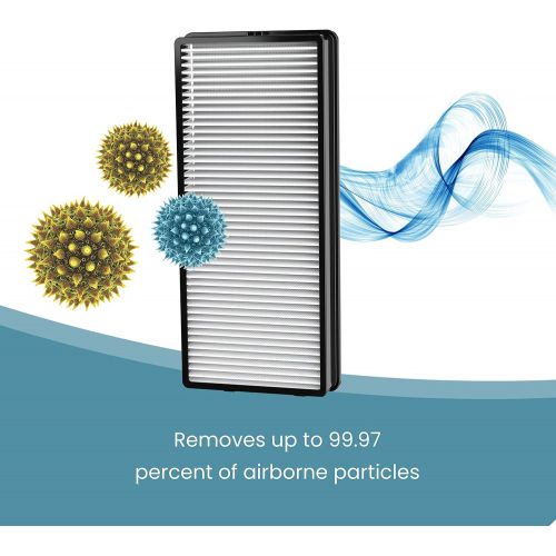  HoMedics TotalClean True HEPA Filter Replacement for Air Purifiers (2 Pack), Works with HoMedics AT-PET01, AT-PET02, and AT-45 Air Purifiers that Removes up to 99.97% Airborne Part