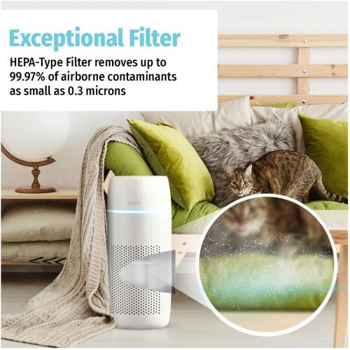  HoMedics TotalClean PetPlus True HEPA Filter Replacement for Air Purifiers, Air Purifier Replacement Filter for use with HoMedics AP-PET35, PetPlus Air Purifier that Removes up to