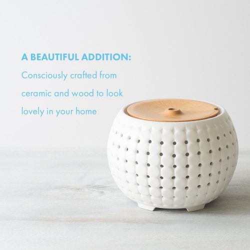  Homedics Gather Ultrasonic Aromatherapy Diffuser | Remote Control,20 Hour Runtime,Color Changing Lights,Soothing Sounds|BONUS ITEMS 3 Sample Essential Oils, Large Tank 200 ML, Quiet Motor