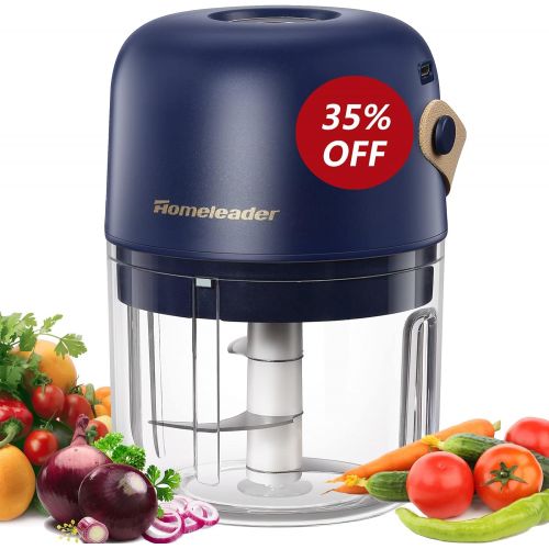  Homeleader Mini Food Chopper Electric Food Processor Baby Food Maker Cordless Portable Onion Chopper with Handle 250ml Capacity Stainless Steel Blades for Pepper Garlic Chili Nuts