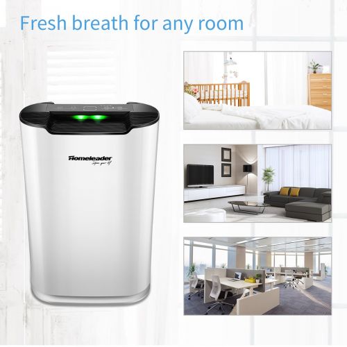  Homeleader 3-In-1 Air Purifier with True HEPA Filter, Effective Removal Dust, Pet Dander, Smoke, Mold Spores and Household Odors, 3 Speeds Adjustment, 300 sq. ft for Large Room