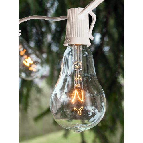  Hometown Evolution, Inc. Vintage Outdoor String Lights (100 Ft, ST40 Clear Bulbs - Black Wire)