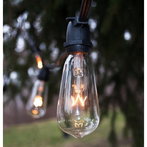  Hometown Evolution, Inc. Vintage Outdoor String Lights (100 Ft, ST40 Clear Bulbs - Black Wire)