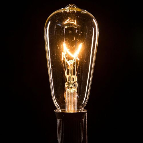  Hometown Evolution, Inc. Vintage Outdoor String Lights (100 Ft, ST40 Clear Bulbs - Black Wire)