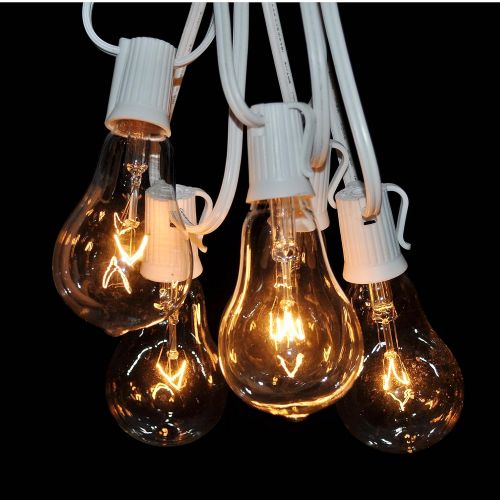  Hometown Evolution, Inc. Vintage Outdoor String Lights (100 Ft, ST40 Clear Bulbs - Black Wire)