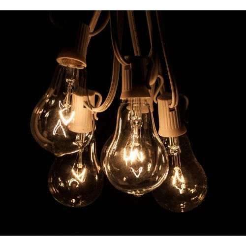  Hometown Evolution, Inc. Vintage Outdoor String Lights (100 Ft, ST40 Clear Bulbs - Black Wire)