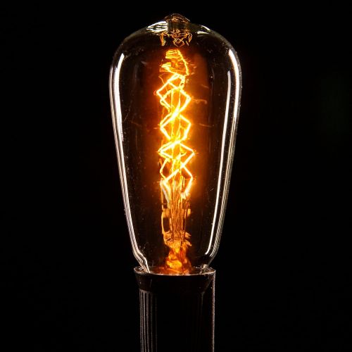  Hometown Evolution, Inc. Edison String Lights (25 Foot Black Wire, ST40 Zig Zag Edison)