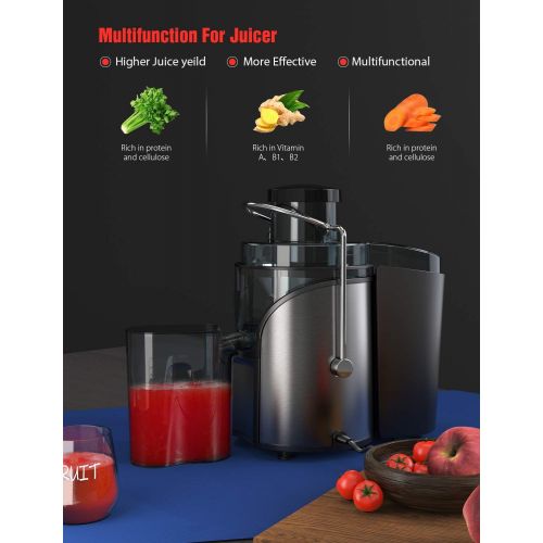  Entsafter, Entsafter fuer Obst und Gemuese, 2 Geschwindigkeitsstufen und UEberhitzungsschutz, Anti-Shake-Design, 500 ml Saftbehalter und Reinigungsbuerste, BPA Frei, Von Homgeek