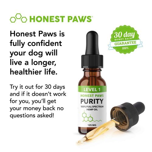  Honest Paws - Purity | Premium Full Spectrum Hemp Oil Tincture for Dogs | Alleviates Dog Pain, Allergies, and Anxiety | High Quality All Natural Pure Hemp Oil - 500 mg